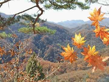 全球黃金產(chǎn)地大揭秘，黃金產(chǎn)量排名TOP榜單！