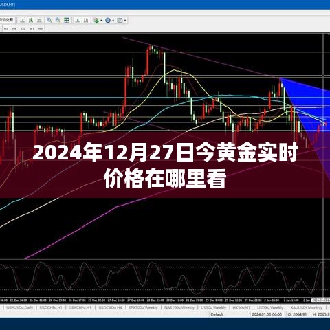 2024年12月27日 第8頁