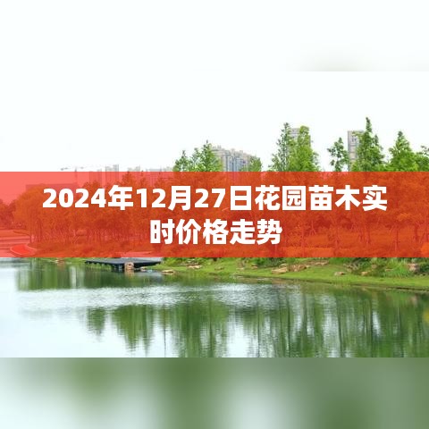 2024年12月27日花園苗木價(jià)格走勢分析