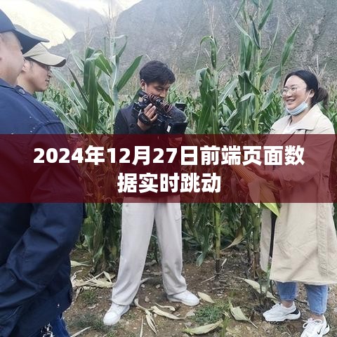 2024年前端頁面數(shù)據(jù)實時更新技術(shù)解析