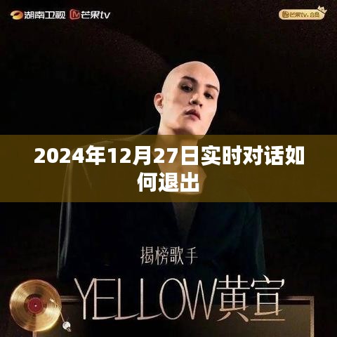 如何退出實時對話，步驟詳解（時間戳，2024年12月27日）