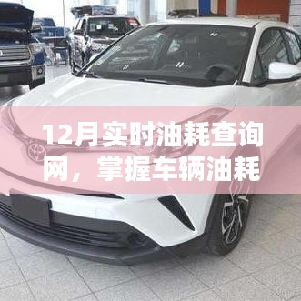 掌握車輛油耗，細(xì)節(jié)決定一切——實時油耗查詢網(wǎng)