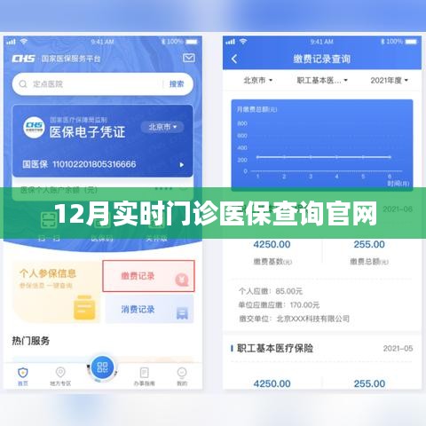 12月實時門診醫(yī)保在線查詢平臺