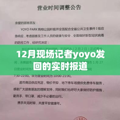 12月現(xiàn)場直擊，yoyo記者的實時報道