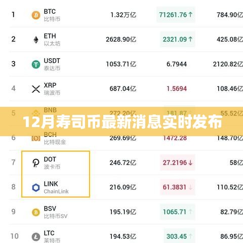 12月壽司幣最新動態(tài)實時播報