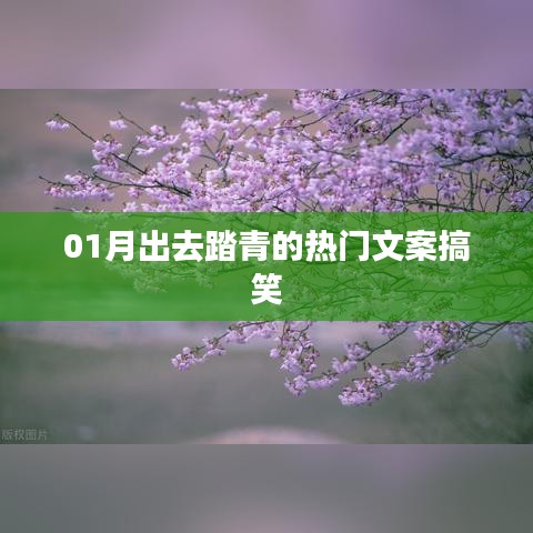 一月踏青樂趣多，笑翻全場熱門文案！