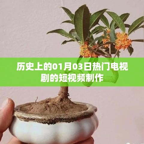 熱門電視劇短視頻制作盤點，歷史上的那些日子