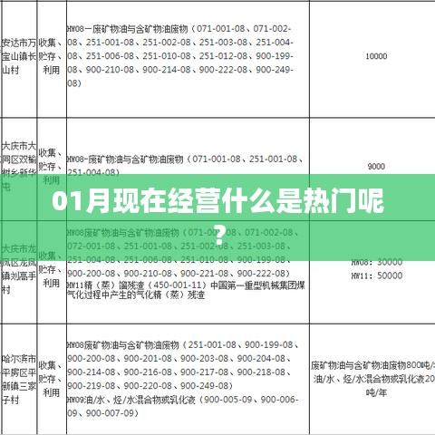 最新熱門(mén)經(jīng)營(yíng)項(xiàng)目一月份解析