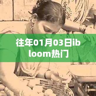 往年元旦后熱門事件回顧，ibloom引領潮流風向標