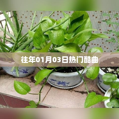 歷年元旦后熱門酷曲回顧