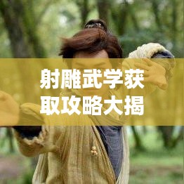 射雕武學(xué)獲取攻略大揭秘，最新秘籍，助你輕松掌握！