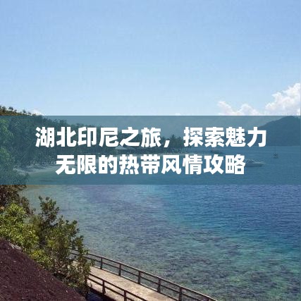 湖北印尼之旅，探索魅力無限的熱帶風(fēng)情攻略