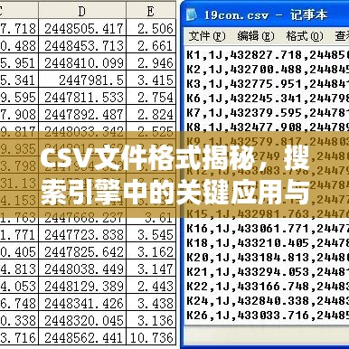 CSV文件格式揭秘，搜索引擎中的關(guān)鍵應(yīng)用與探究