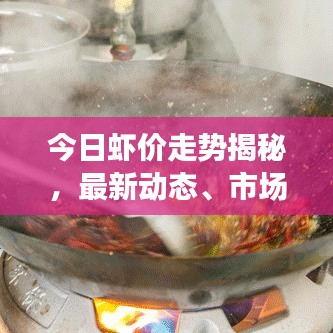 今日蝦價(jià)走勢(shì)揭秘，最新動(dòng)態(tài)、市場(chǎng)分析及影響因素探討