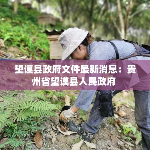 望謨縣政府文件最新消息：貴州省望謨縣人民政府 