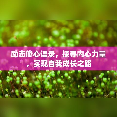 勵志修心語錄，探尋內(nèi)心力量，實現(xiàn)自我成長之路