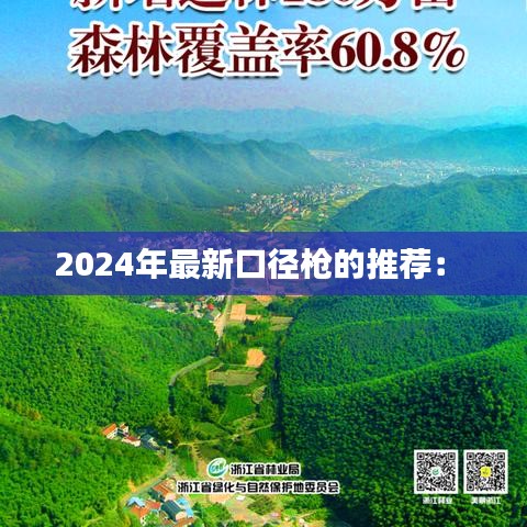 2024年最新口徑槍的推薦： 