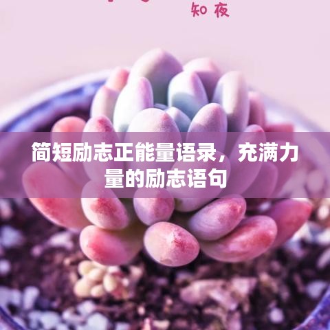 簡短勵志正能量語錄，充滿力量的勵志語句