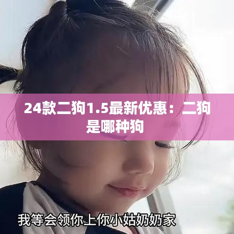 24款二狗1.5最新優(yōu)惠：二狗是哪種狗 