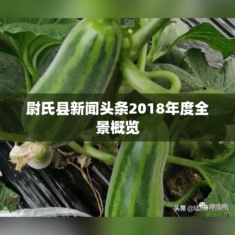 尉氏縣新聞?lì)^條2018年度全景概覽