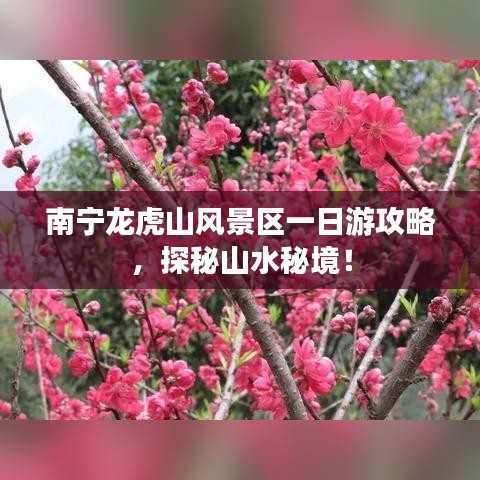 南寧龍虎山風(fēng)景區(qū)一日游攻略，探秘山水秘境！