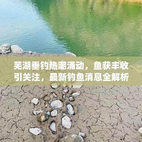 蕪湖垂釣熱潮涌動，魚獲豐收引關(guān)注，最新釣魚消息全解析