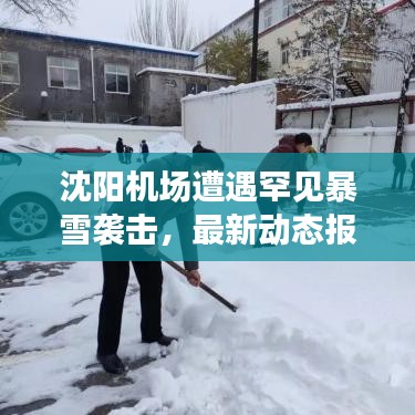 沈陽機(jī)場(chǎng)遭遇罕見暴雪襲擊，最新動(dòng)態(tài)報(bào)道