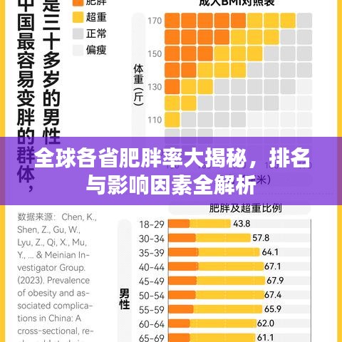 全球各省肥胖率大揭秘，排名與影響因素全解析