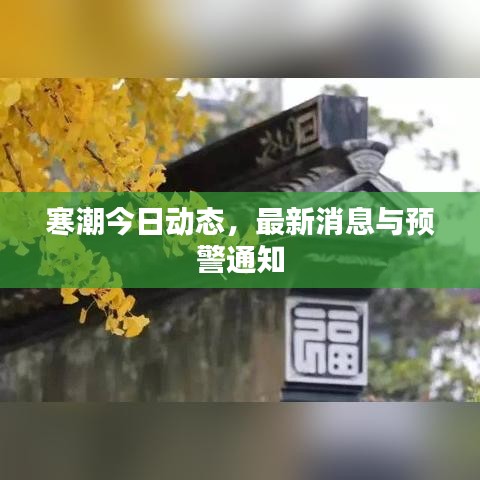 寒潮今日動態(tài)，最新消息與預(yù)警通知