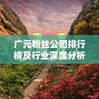 廣元粉絲公司排行榜及行業(yè)深度分析