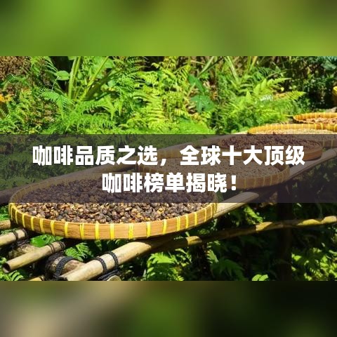 咖啡品質(zhì)之選，全球十大頂級咖啡榜單揭曉！