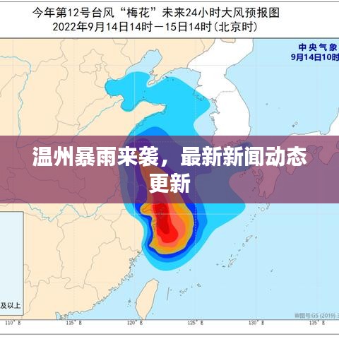 溫州暴雨來襲，最新新聞動態(tài)更新