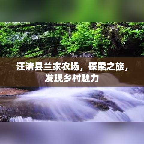 汪清縣蘭家農(nóng)場(chǎng)，探索之旅，發(fā)現(xiàn)鄉(xiāng)村魅力