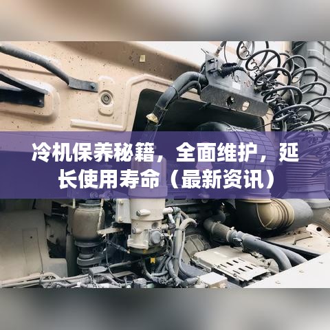 冷機保養(yǎng)秘籍，全面維護，延長使用壽命（最新資訊）