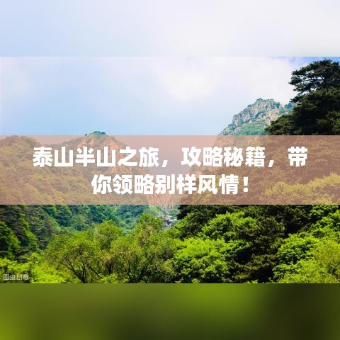 泰山半山之旅，攻略秘籍，帶你領略別樣風情！