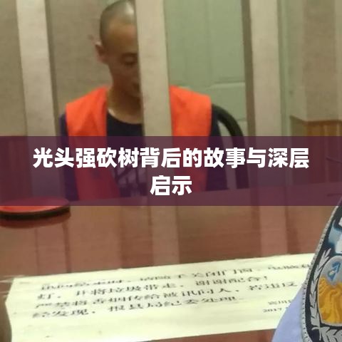 光頭強砍樹背后的故事與深層啟示