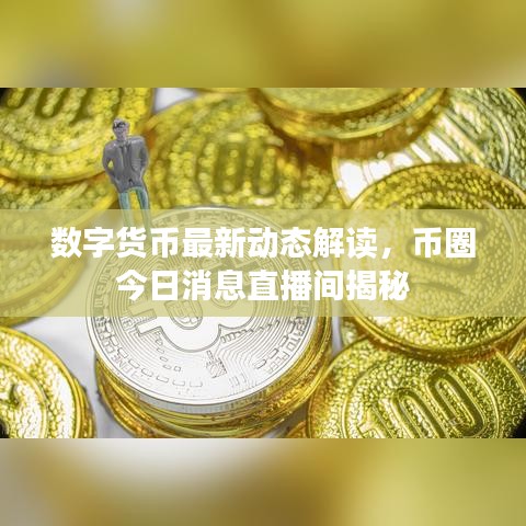 數(shù)字貨幣最新動(dòng)態(tài)解讀，幣圈今日消息直播間揭秘