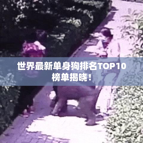 世界最新單身狗排名TOP10榜單揭曉！