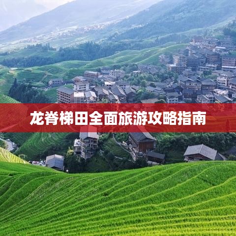 龍脊梯田全面旅游攻略指南