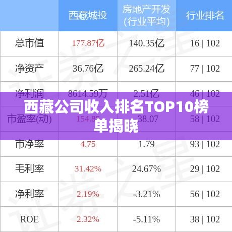 西藏公司收入排名TOP10榜單揭曉