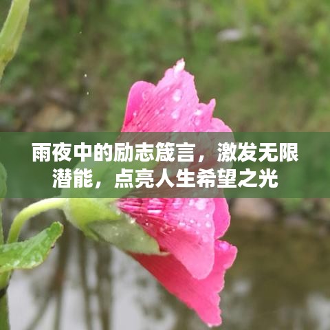 雨夜中的勵志箴言，激發(fā)無限潛能，點亮人生希望之光