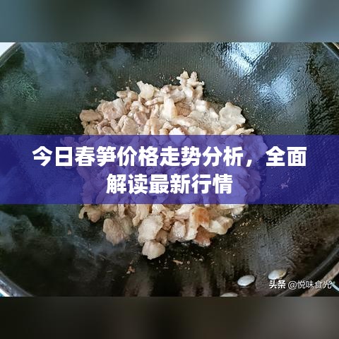 今日春筍價(jià)格走勢(shì)分析，全面解讀最新行情