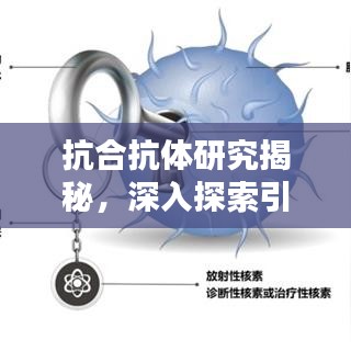 抗合抗體研究揭秘，深入探索引領新發(fā)現(xiàn)