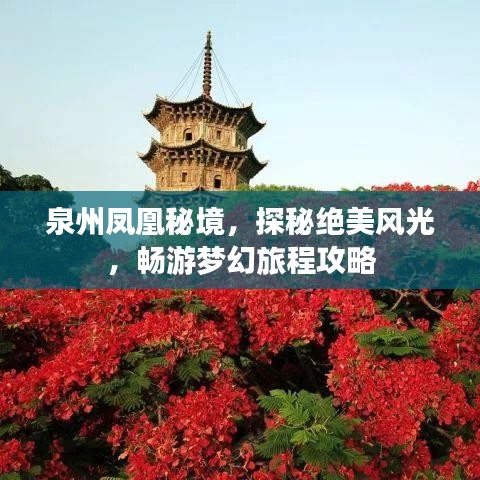 泉州鳳凰秘境，探秘絕美風(fēng)光，暢游夢幻旅程攻略