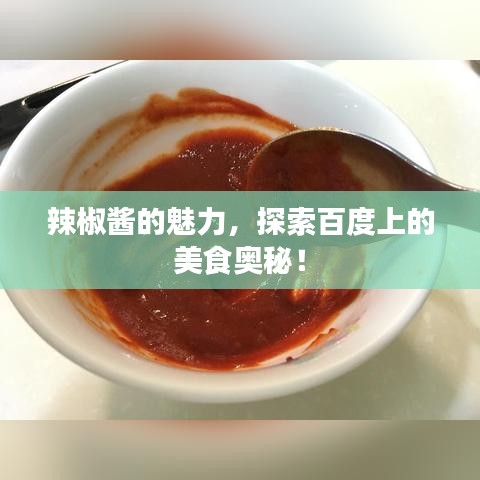 辣椒醬的魅力，探索百度上的美食奧秘！