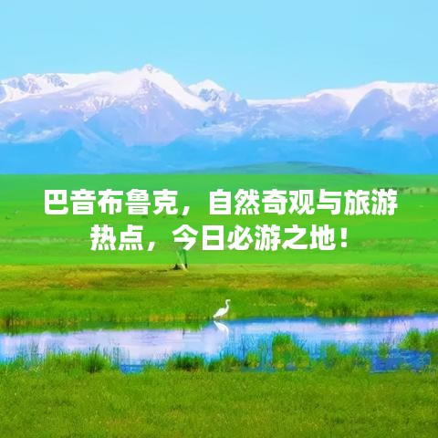 巴音布魯克，自然奇觀與旅游熱點，今日必游之地！