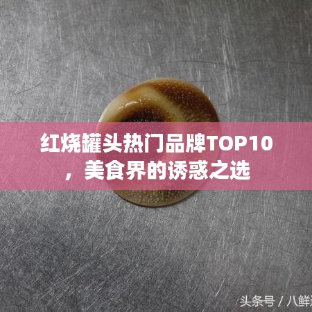 紅燒罐頭熱門品牌TOP10，美食界的誘惑之選