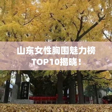 山東女性胸圍魅力榜TOP10揭曉！