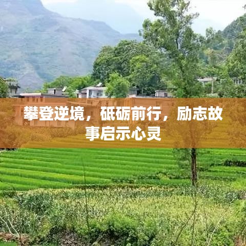 攀登逆境，砥礪前行，勵志故事啟示心靈